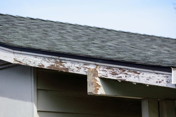 Miami Wood Rot Repair