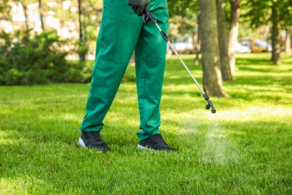 Miami Lawn Treatment