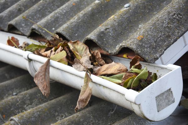 Miami Gutter Cleaning